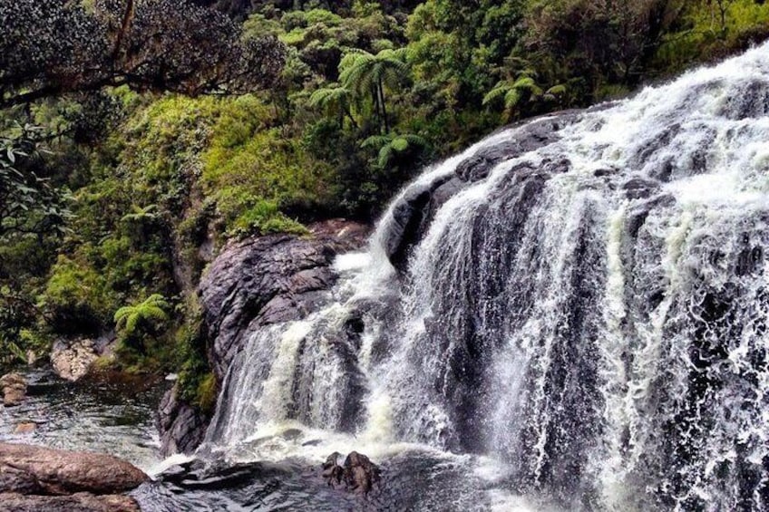 Hortan Plains Tour From Kandy