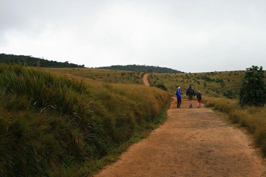 Hortan Plains Tour From Kandy