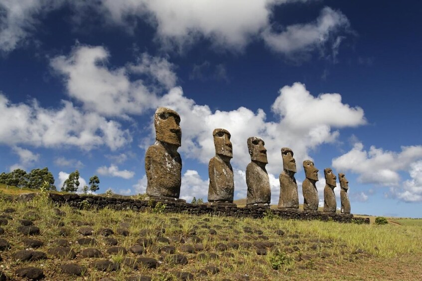 Ahu Akivi Half-Day Island Tour