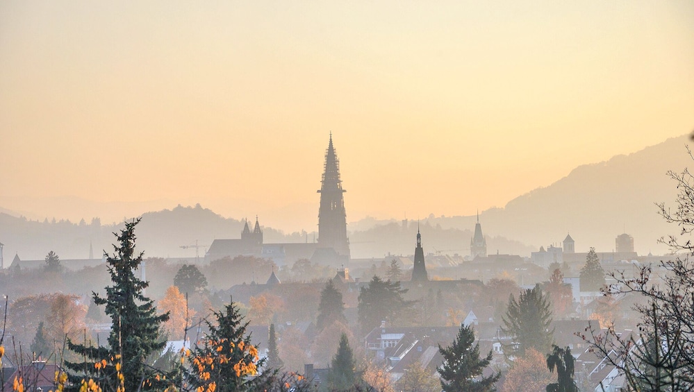 Show item 5 of 6. Photogenic Freiburg with a Local