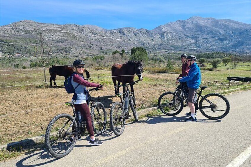 E-Bike Tour + Gourmet Snack + Wine Tasting (Small Group)