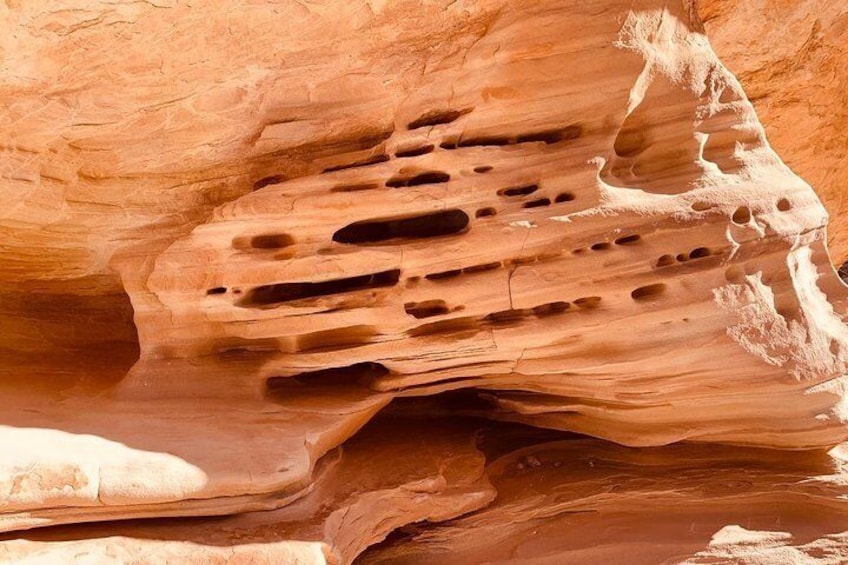 Valley of Fire Small Group Tour From Las Vegas