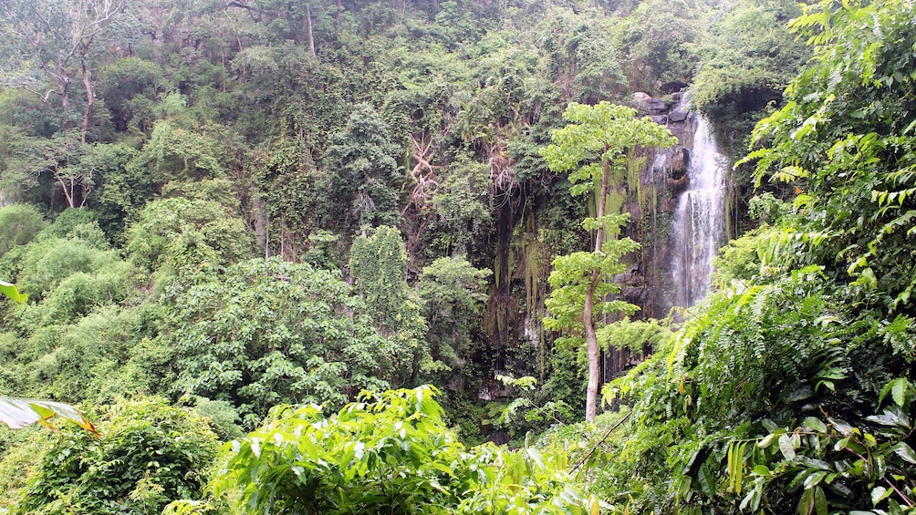 Scenic view of the waterfall and greenery at Kirirom National Park in Phnom Penh