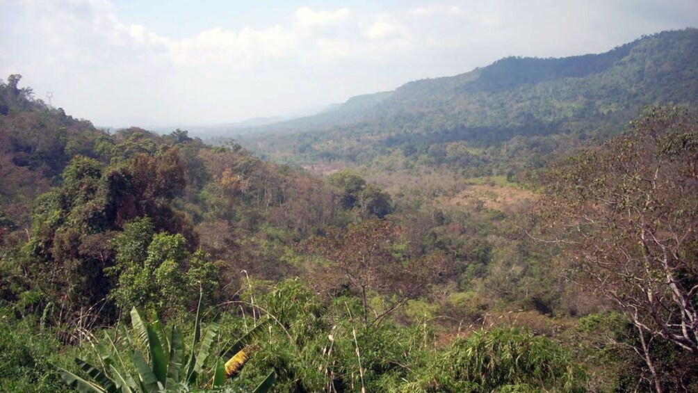 Panoramic view of Kirirom National Park in Phnom Penh during the day 