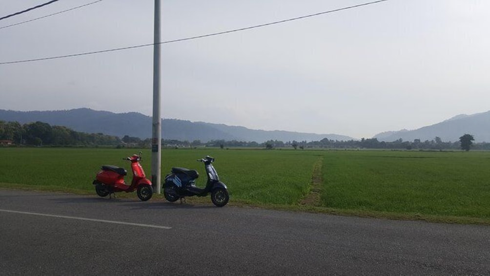 Vespa Morning Tour 