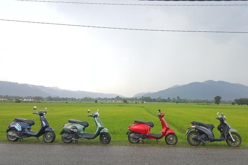 Vespa Morning Tour 