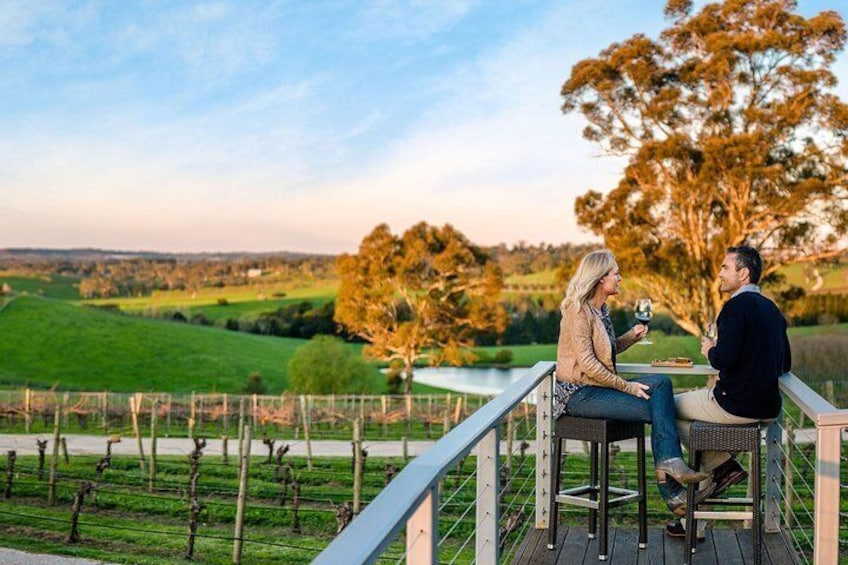 The Lane Vineyard