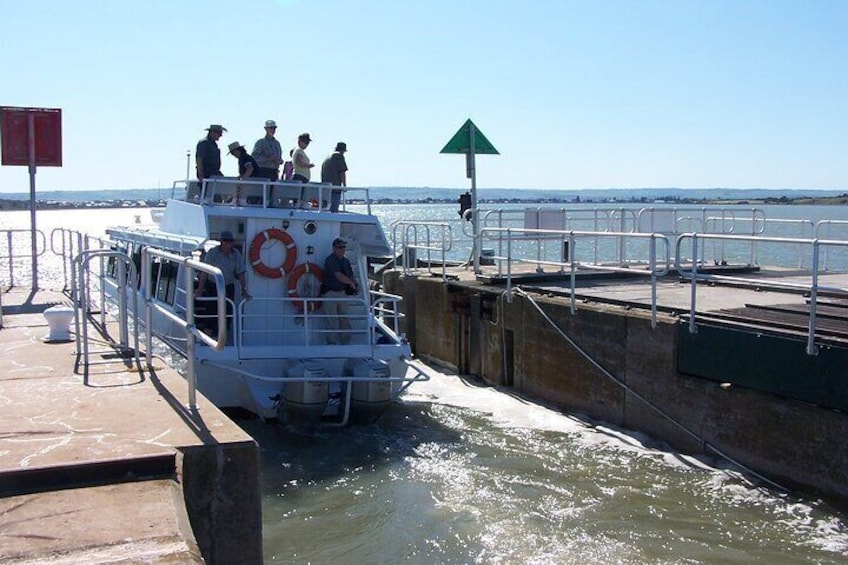 Coorong Discovery Cruise and Tour
