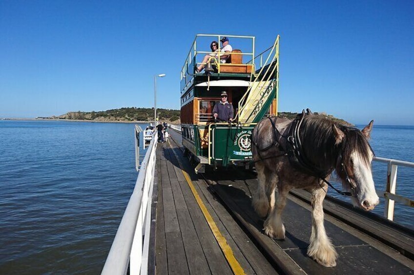 Coorong Discovery Cruise and Tour