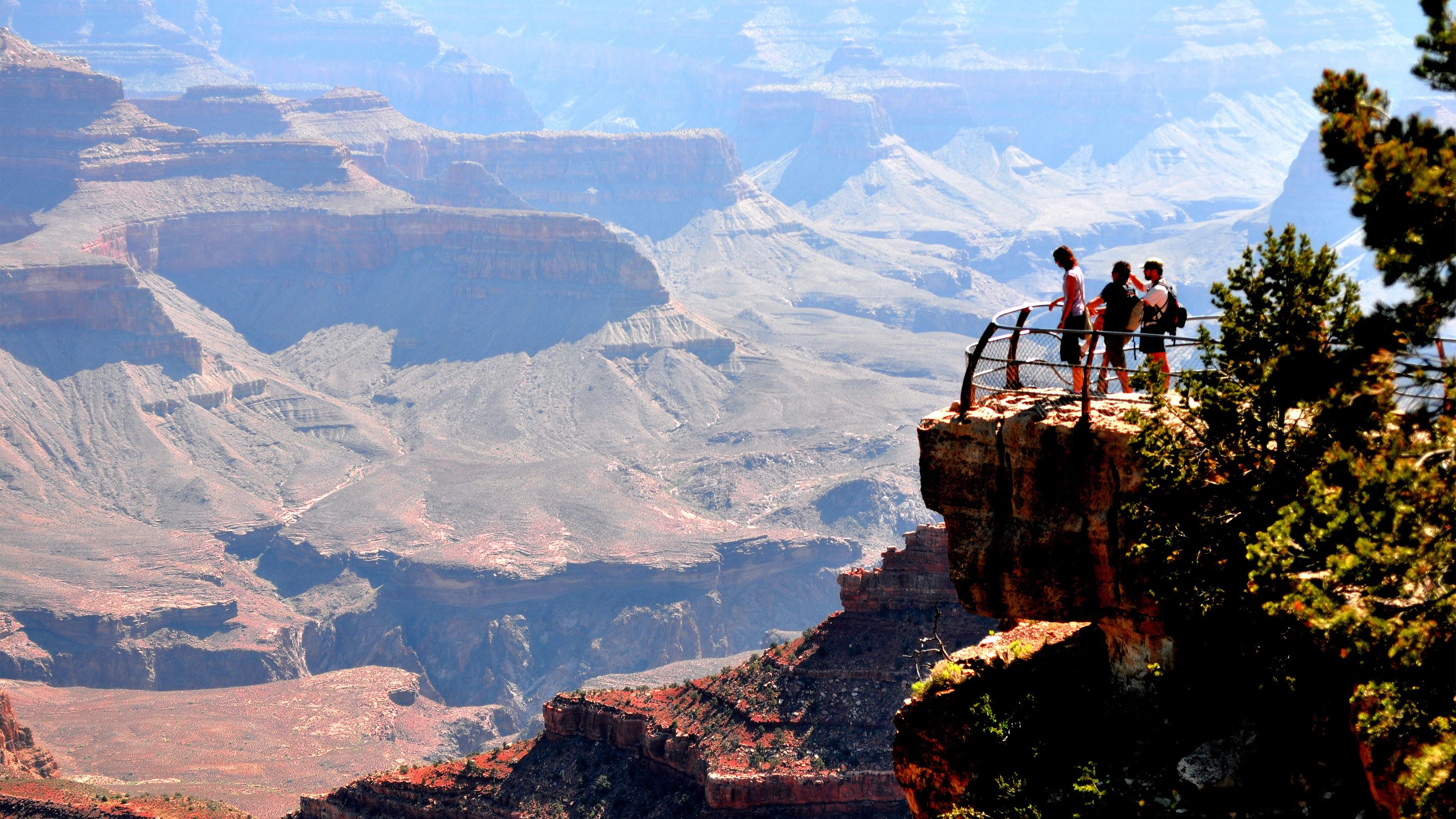 Visite VIP De La Rive Sud Du Parc National Du Grand Canyon