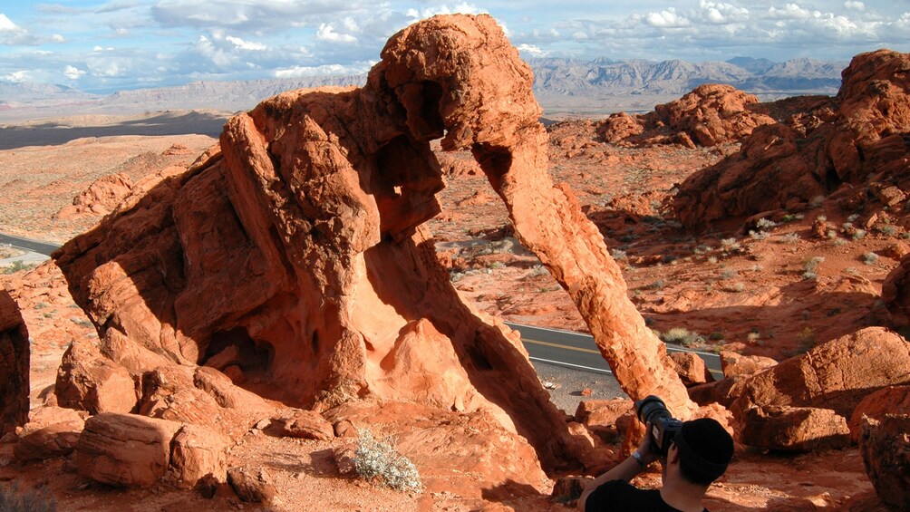 Elephant rock resting within the Valley of Fire