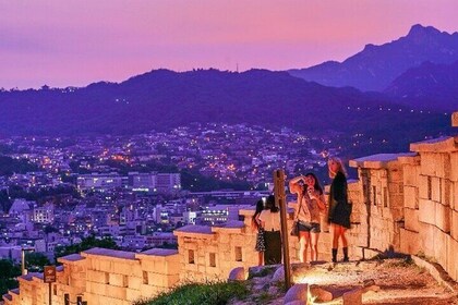 Moonlight Seoul Night Tour (Gwangjang Market, Royal Palace and Naksan Park)