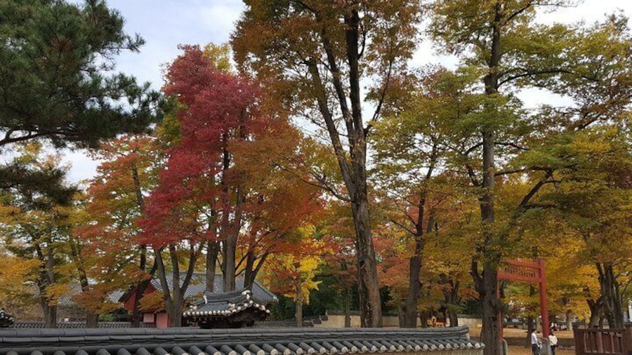 Gyeonggijeon Shrine Area, Jeonju City