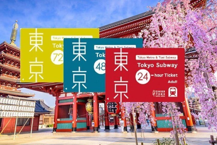 Tokyo Subway Ticket