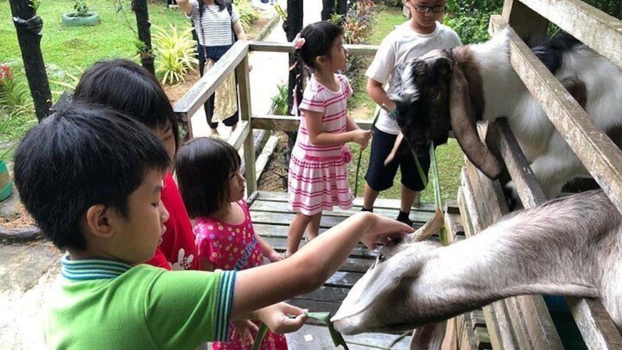 Sri Tanjung Leisure Farm