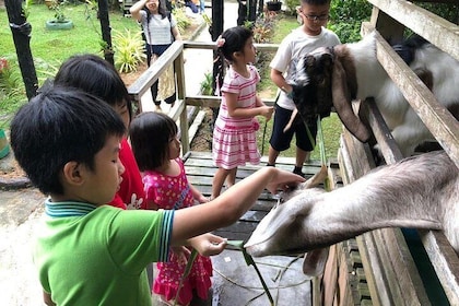 Johor Day Tour - Lasertag, Eco Farm, Go Kart [Car]