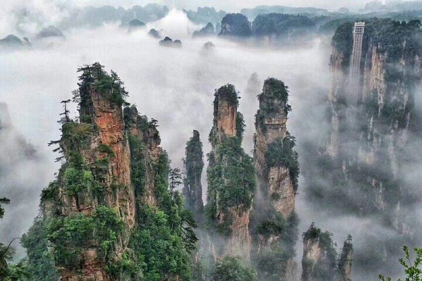 Private Day Trip to Avatar Mountain and Glass Bridge of Zhangjiajie