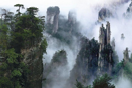 Visite privée de 1 jour de Zhangjiajie à Tianmen Mountain & Glass Bridge