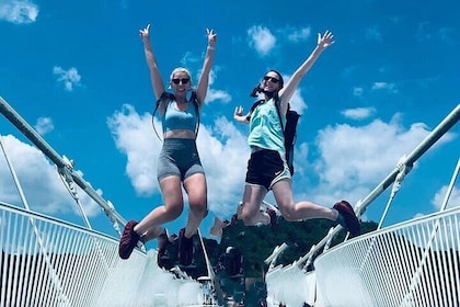 Private Day Trip to Avatar Mountain & Glass Bridge with Lunch