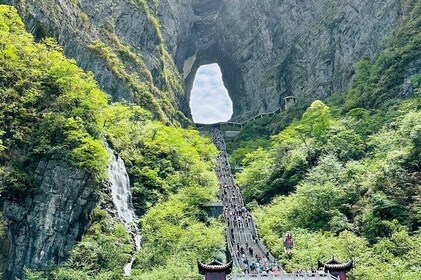 Private Day Trip to Avatar Mountain & Glass Bridge with Lunch