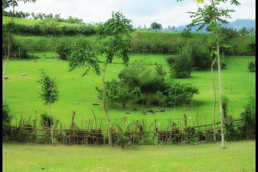 Full Day Albay Bicol Tour with Mayon Skyline