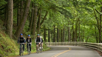 Columbia Gorge Bike & Hike Tour
