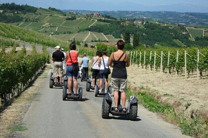 Albahills Segway Tour