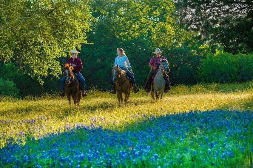 Horseback Riding on Scenic Texas Ranch near Waco