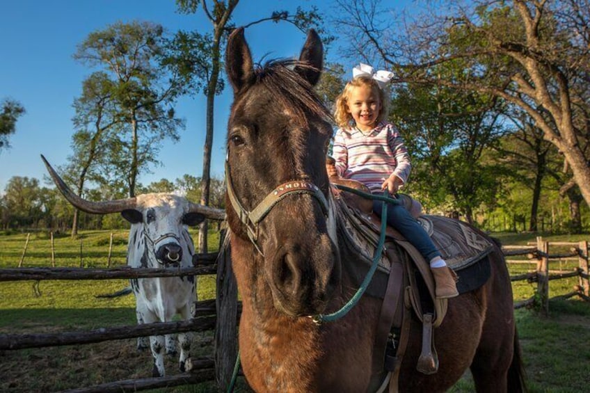 Horseback Riding on Scenic Texas Ranch near Waco