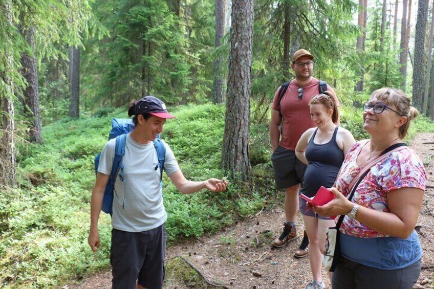 Magical Taiga Forest Hike with Lunch and Transportation