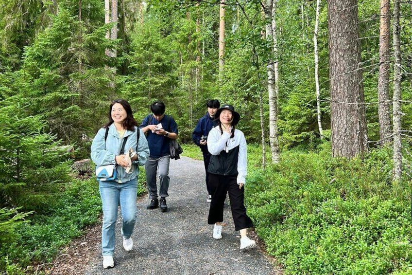 Magical Taiga Forest Hike with Lunch and Transportation