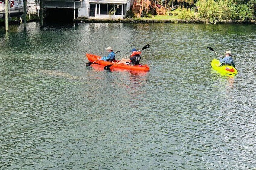 Kayaking with manatees