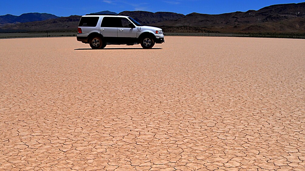 Venture into the Mojave Desert in a comfortable air conditioned SUV