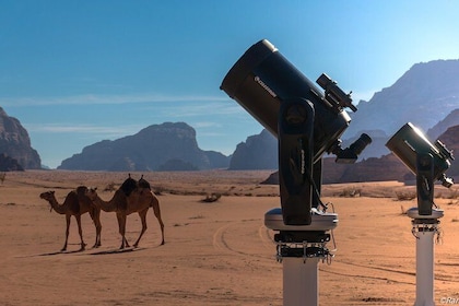 Stargazing Adventure in Jordan