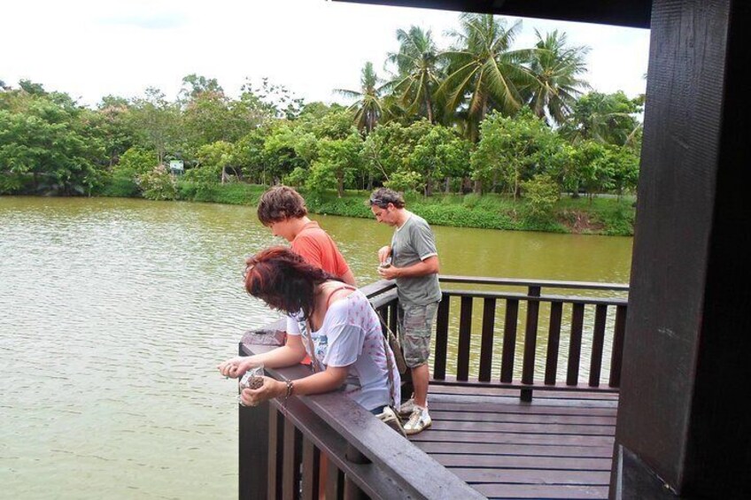 Bangkrachao, an oasis of green, Colors of Bangkok