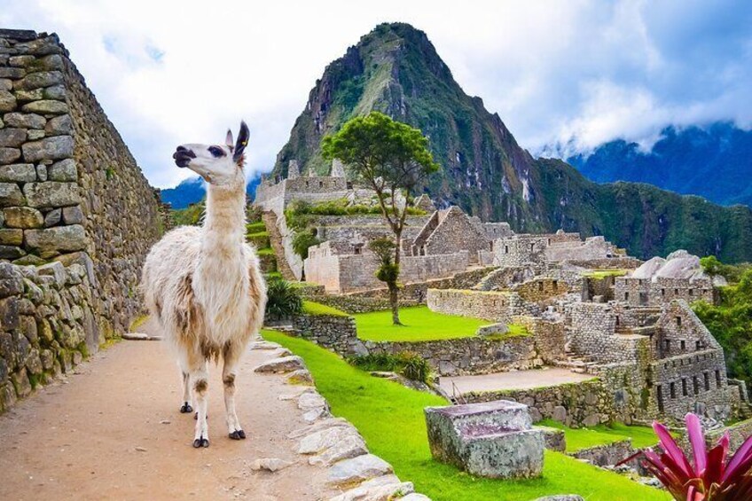 7-Days :Cusco || MachuPicchu ||Rainbow Mountain|| Humantay Lake || Q'eswachaka||