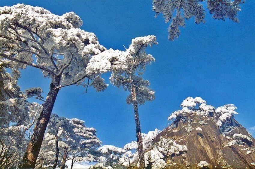 Snow covered Mt. Huangshan