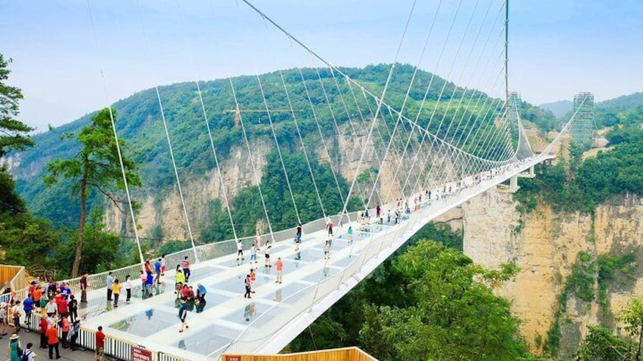The Grand Canyon of Zhangjiajie skywalk