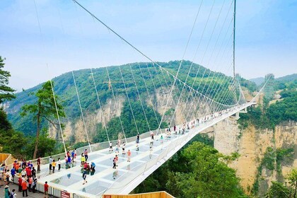 Private Day Trip to Zhangjiajie Grand Canyon with Glass Bridge