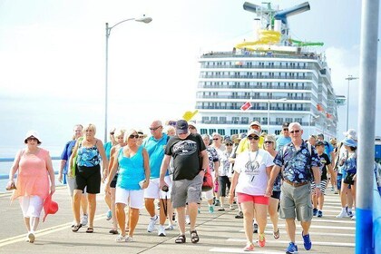 Shore Excursion: Full-day Putrajaya City Tour