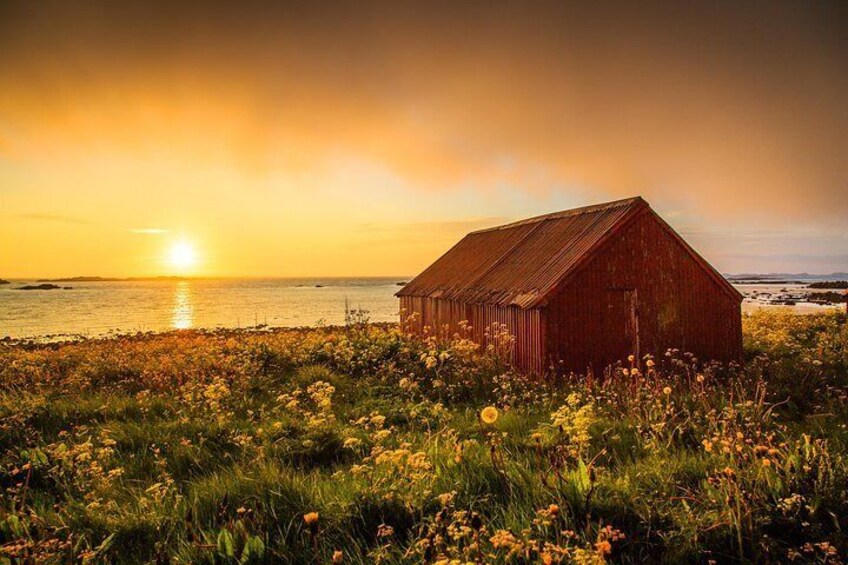 Eggum under the midnight sun light