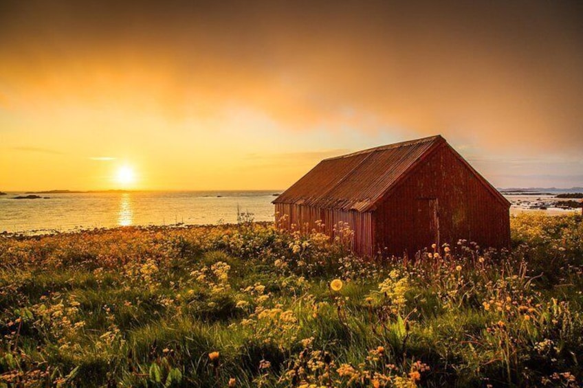 Eggum under the midnight sun light