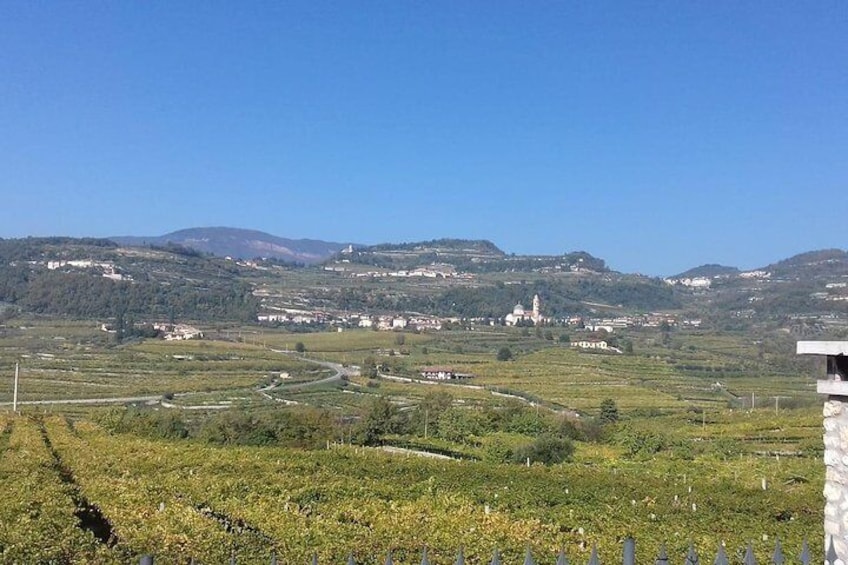 the hills of Valpolicella