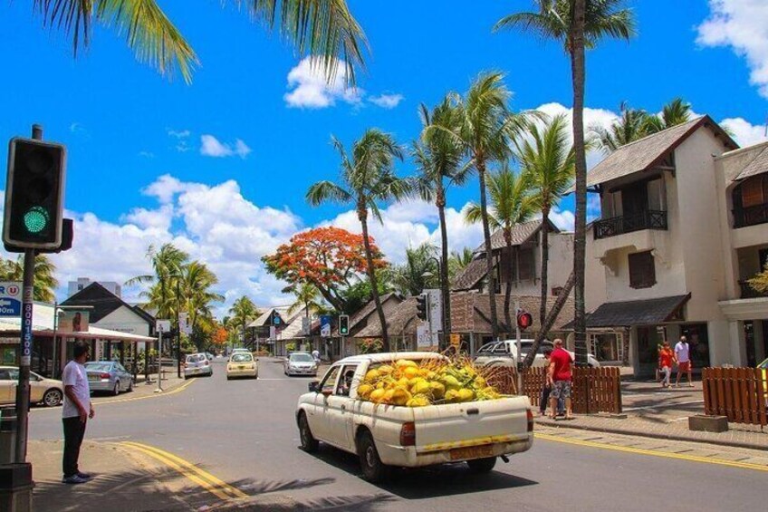 Best of the North Coast, Instagram PhotoShoot Tour, Mauritian Lunch on the go