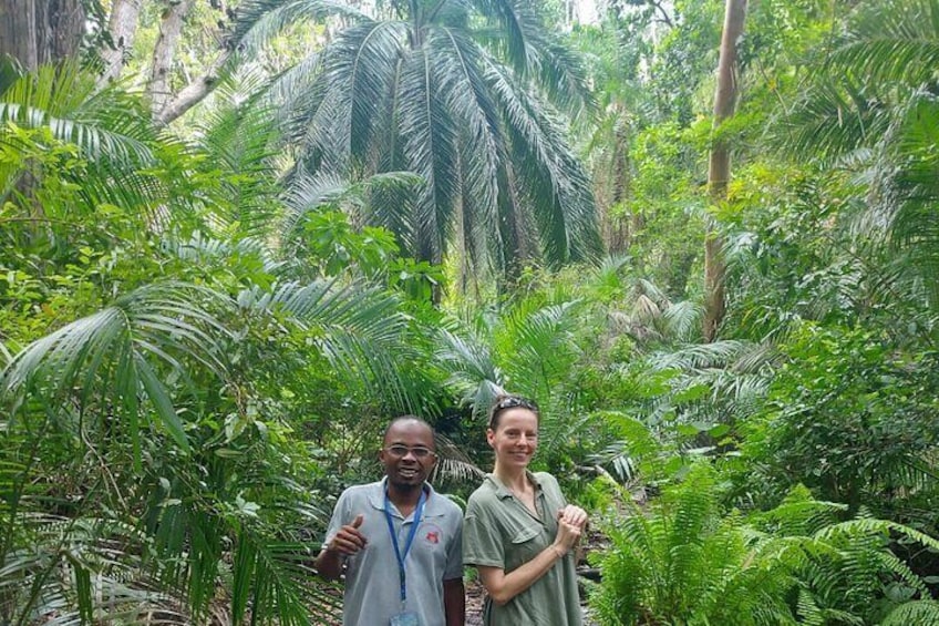 Jozani Forest Tour