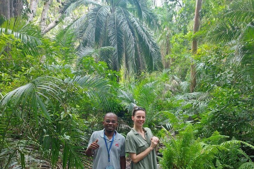 Jozani Forest Tour