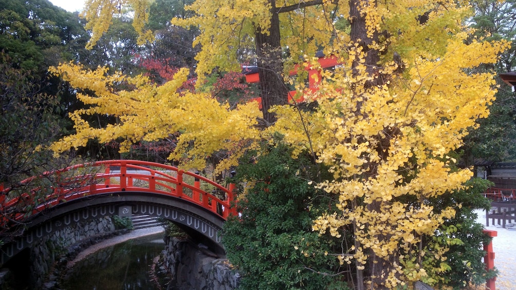 Show item 1 of 7. A traditional red bridge on temple grounds in Kyoto