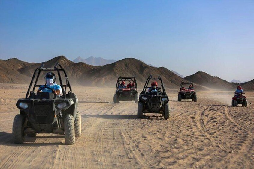 Dune Buggy Safari Trip