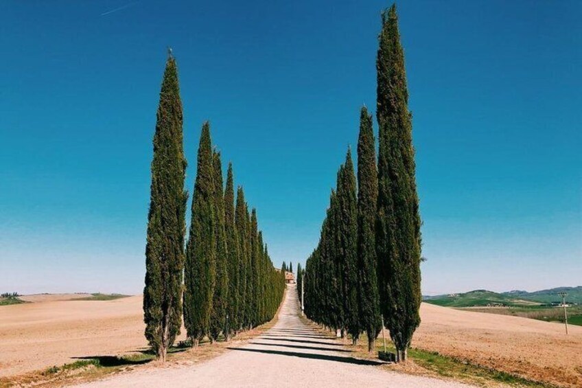 Val d'Orcia Tour