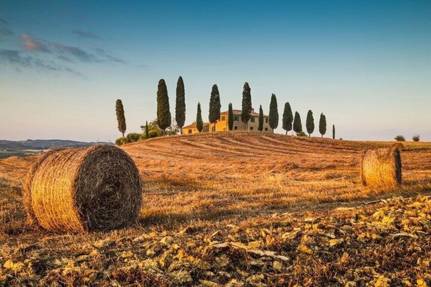 Val d'Orcia Tour